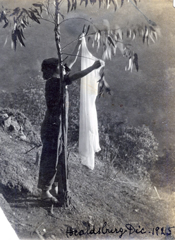 Edward Weston, Tina, Mxico 1925